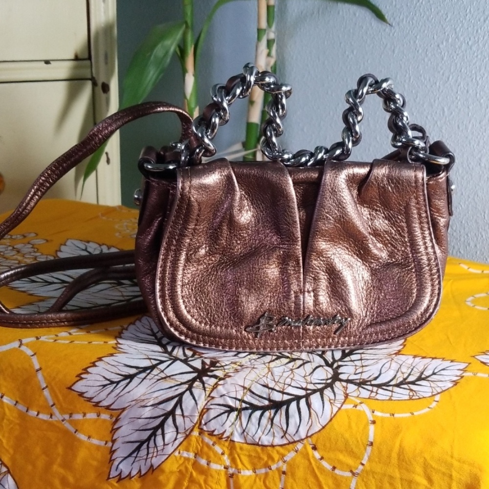 B. Maskowsky Metallic Purse
